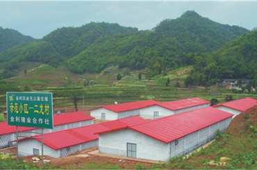 養(yǎng)殖公司實景